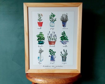 Fine art prints of watercolor drawings of garden herbs