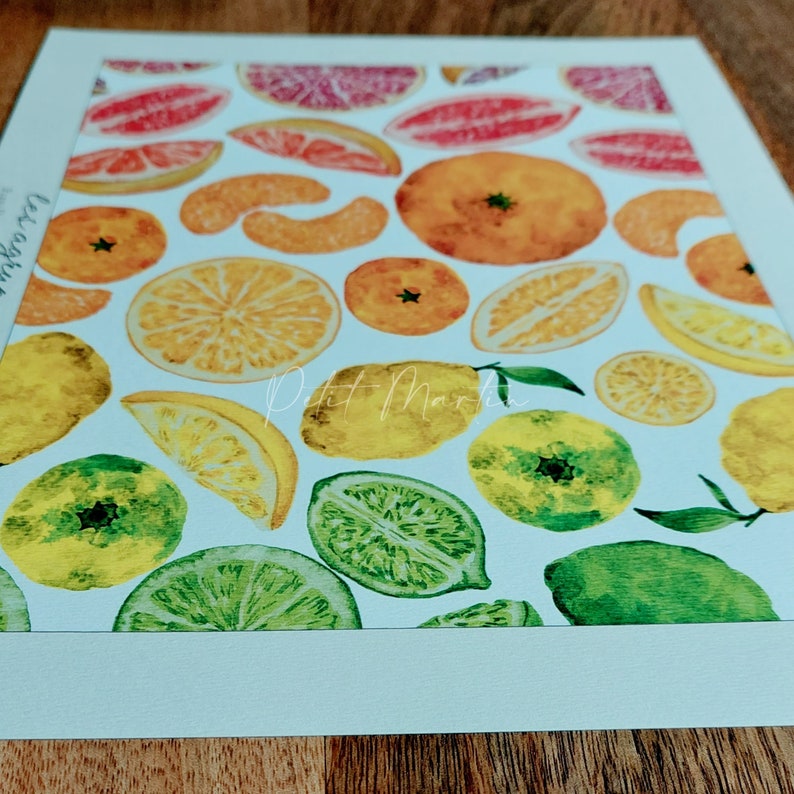 Stampe fine art di disegni acquerellati di varietà di agrumi immagine 3