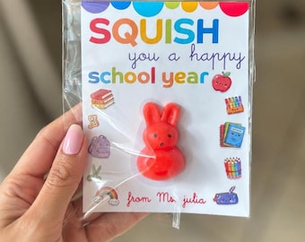 Meet the Teacher First Day of School Classroom Party Favor,  Back to School Favor, Squishy Toy Student Gift,  Student Welcome Gift