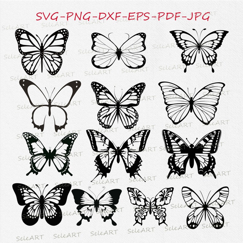 Free Free 73 Svg Side View Butterfly Silhouette SVG PNG EPS DXF File