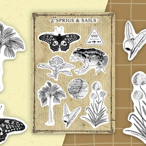 Pegatinas de flores y ranas BW / Pegatinas de plantas, Pegatinas de planificador, Pegatinas de diario, Paquete de pegatinas lindas