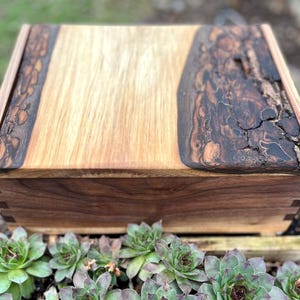 Handmade Black Walnut Keepsake Box: Live Edge Feathered Bark