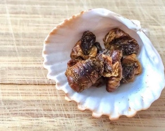 Silkworm Pupae | Hermit Crab Food