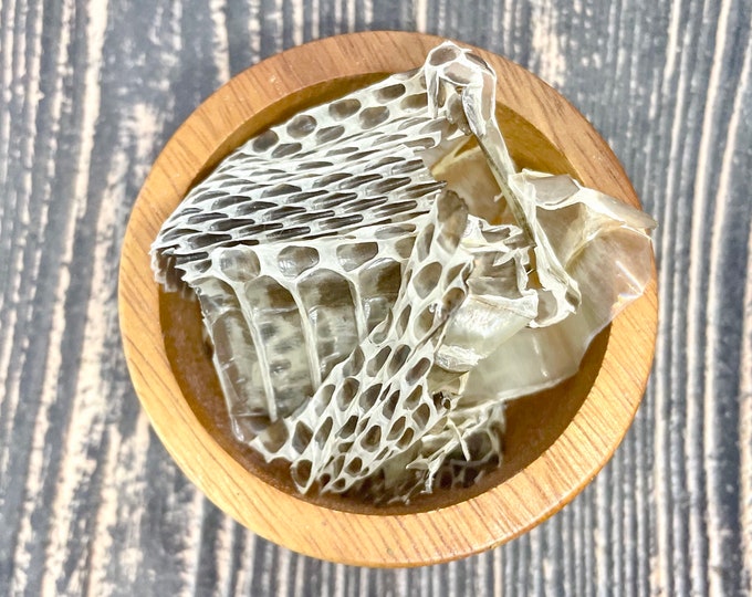 foamposite snake skin