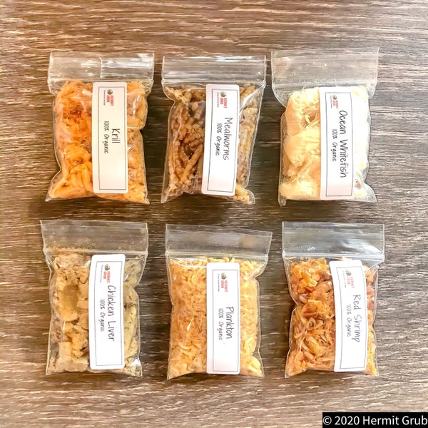 Protein 6 Piece Set #1 | Hermit Crab Food