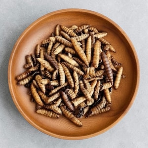 May include: A round wooden bowl filled with a pile of dried, segmented insect larvae. The larvae vary in color from light tan to dark brown, each featuring a distinct, wrinkled, and cylindrical body shape with visible segments throughout the surface.