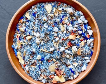 Blue Octopus | Complete Hermit Crab Meal