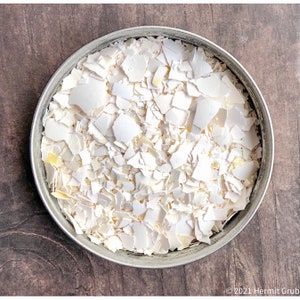 Eggshells | Hermit Crab Food