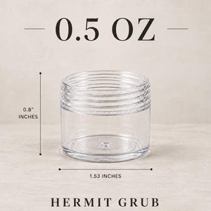 10 Piece Set | Hermit Crab Food image 2