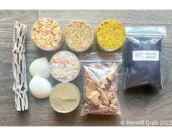 Hermit Crab Starter Pack | Hermit Grub