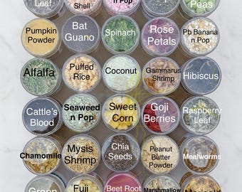 Choose Your Own Variety Pack | Hermit Crab Food