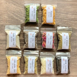 The Hermit Crab Shack Pack | Hermit Crab Food
