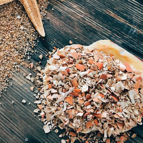 Mealworms Hermit Crab Food Etsy