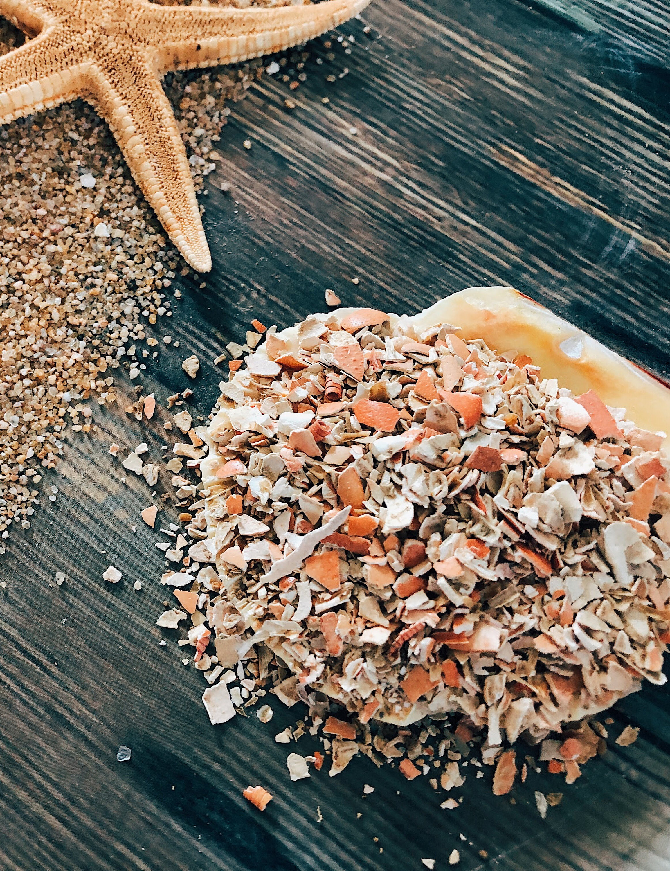 Crushed Crab and Lobster Shell | Hermit Crab Food