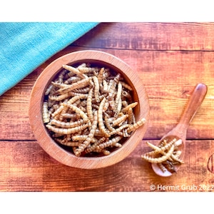 Mealworms | Hermit Crab Food