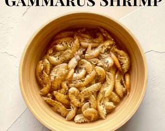 Gammarus Shrimp Protein | Hermit Grub | Hermit Crab Food