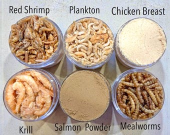 Set de proteínas de tierra y mar / Comida para cangrejo ermitaño / Comida para cangrejo ermitaño