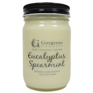 Eucalyptus Spearmint Natural Soy Candle, 12 oz Soy Candle, Natural Scented Candle, Hand Poured Candles, Scented Candle, Aromatherapy Candles