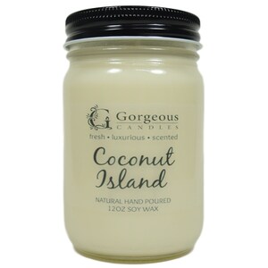 Coconut Island Natural Soy Candle, 12 oz Soy Candles, Natural Soy Scented Candles, Hand Poured Candles, Scented Candle, Aromatherapy Candles