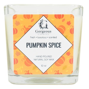 Pumpkin Spice Soy Candle - 12 oz Soy Candles, Natural Scented Candles, Hand Poured Candles, Scented Candle, Aromatherapy Candles in Jar