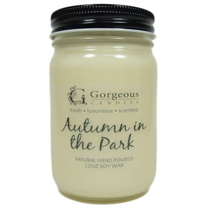 Autumn In The Park Natural Soy Candle, 12 oz Soy Candles, Natural Scented Candles, Hand Poured Candles, Scented Candle, Aromatherapy Candles