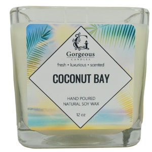 Coconut Bay Soy Candle, 12 oz Soy Candles, Natural Scented Candles, Hand Poured Candles, Scented Candle, Aromatherapy Candles, Candle in Jar