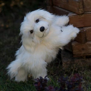 Cute puppy plush, sweet little dog plush from stock, realistic white puppy replica plush, children toy dog plush, stuffed puppy for gift
