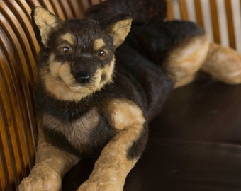 Sofort lieferbar! Realistischer Plüschschäfer, Jindo Hundeportrait, Lebensechte Plüschhunde Replik, Kuscheltier Plüsch, Hundeliebhaber beste Geschenkidee