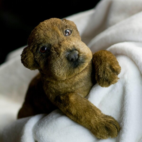 Plush Dog Etsy