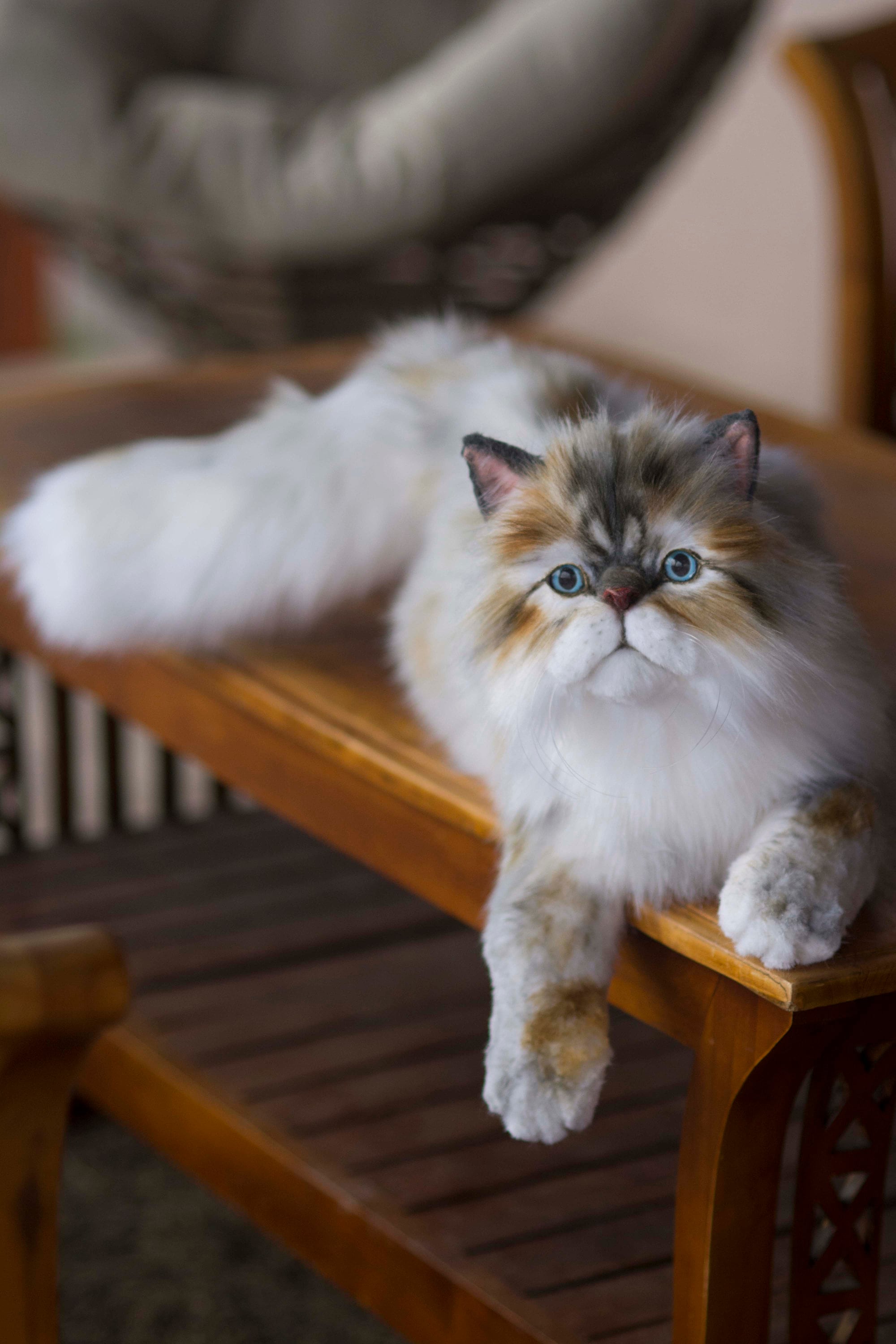 Made to Order Realistic Stuffed Persian Cat Plush Lifelike Etsy