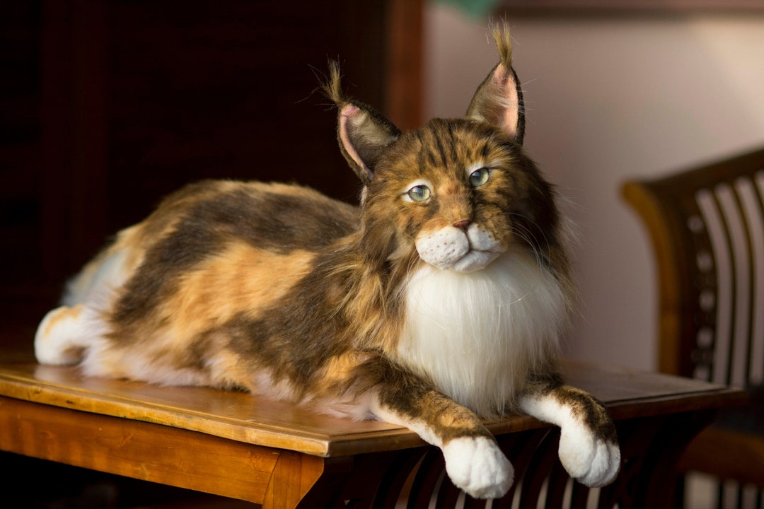 Realistic Maine Coon Cat Plush Replica, Lifelike Stuff Cat Portrait ...