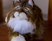 What Toys Do Maine Coon Cats Like: Top Picks for Endless Fun