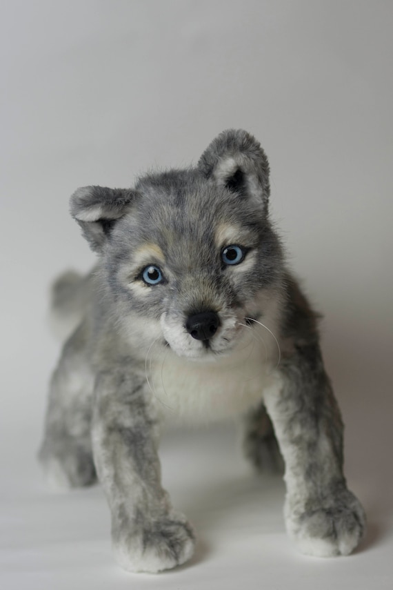 Realistic Stuffed Wolf Cub Plush Toy Lifelike Ooak Wolf Puppy
