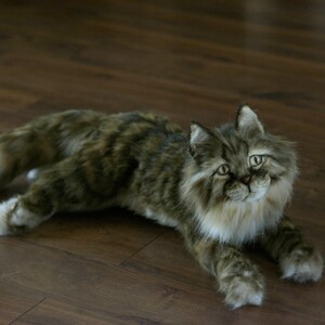 Realistic Maine Coon Custom Cat Plush From Photo, Lifelike Custom Maine ...