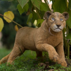 Realistic stuffed lioness plush replica, lifelike lion plush, stuff lion plush portrait, real animal plush, ooak lion toy, lion lover gift