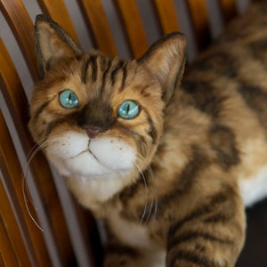 Realistic Bengal cat replica plush for order, realistic life size stuffed Bengal kitten toy, stuff cat plush copy, custom cat plush order
