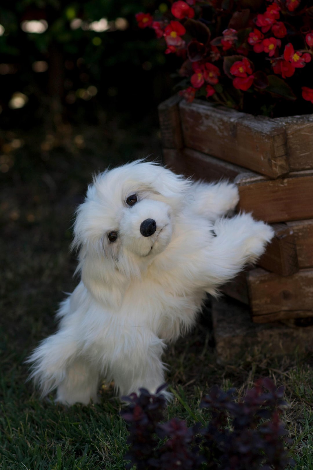Handmade Puppy Plush: Realistic White Dog Stuffed Animal - Etsy