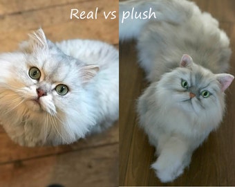 Made to order (~5 weeks) 40 cm - realistic Persian cat plush, stuffed cat, cat memorial, personalized pet plush, personalized cat clone