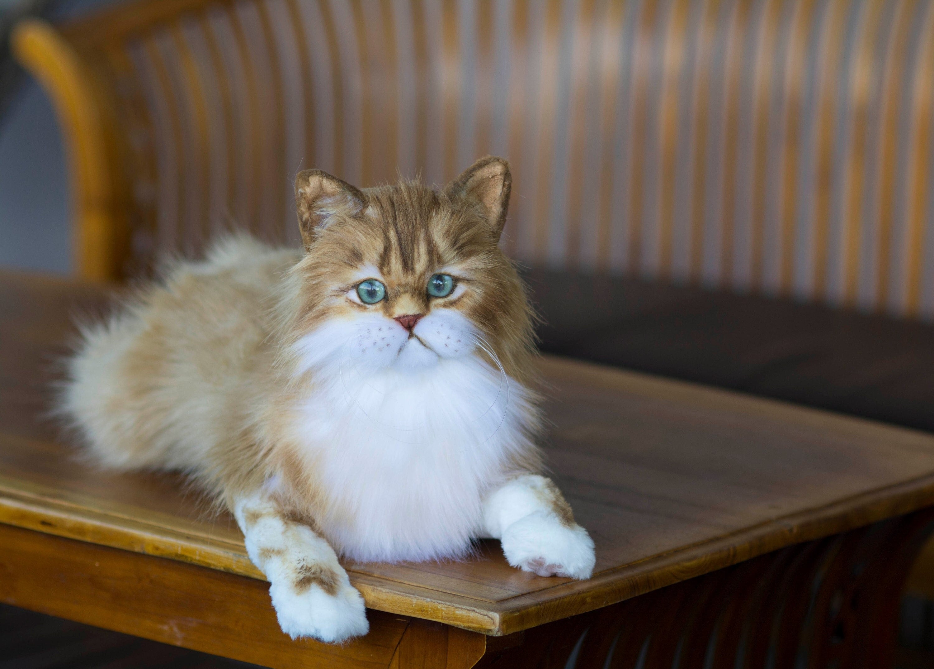 リアルなペルシャ猫のぬいぐるみ：手作りフェイクファー肖像画