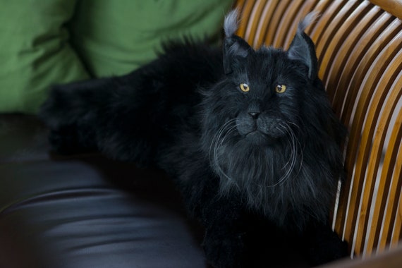 Realistic Large Black Maine Coon Stuffed Cat Replica Plush Lifelike Artist Cat Plush Stuffed Animal Pet Portrait Toy Ooak Animal Portrait Etsy UK