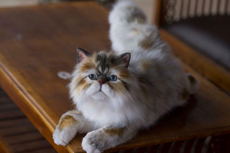 Made to Order Realistic Stuffed Persian Cat Plush Lifelike Etsy