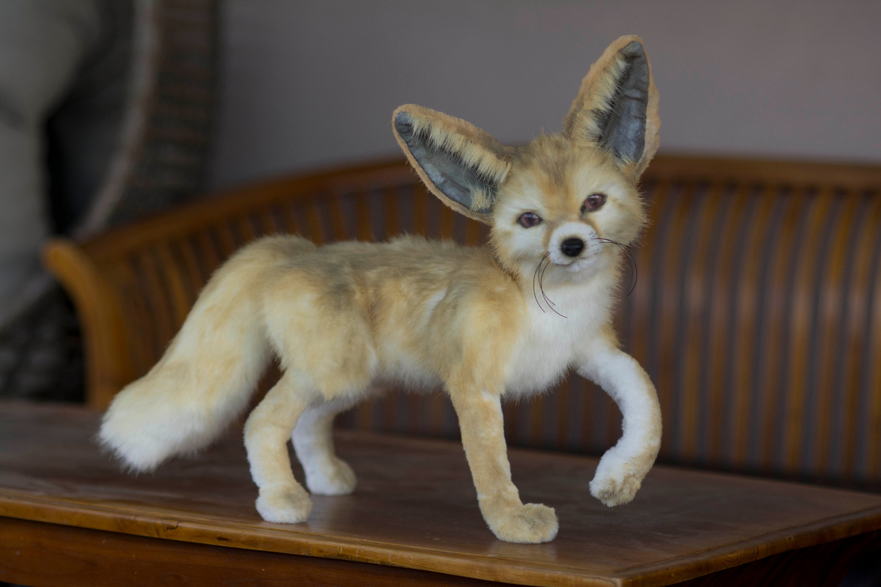 Realistic fennec fox toy - Shop MoonFoxToys Stuffed Dolls