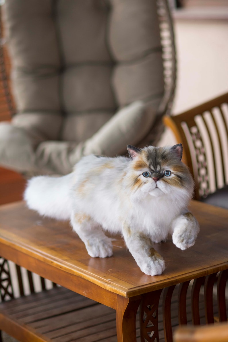Made to Order Realistic Stuffed Persian Cat Plush Lifelike Etsy