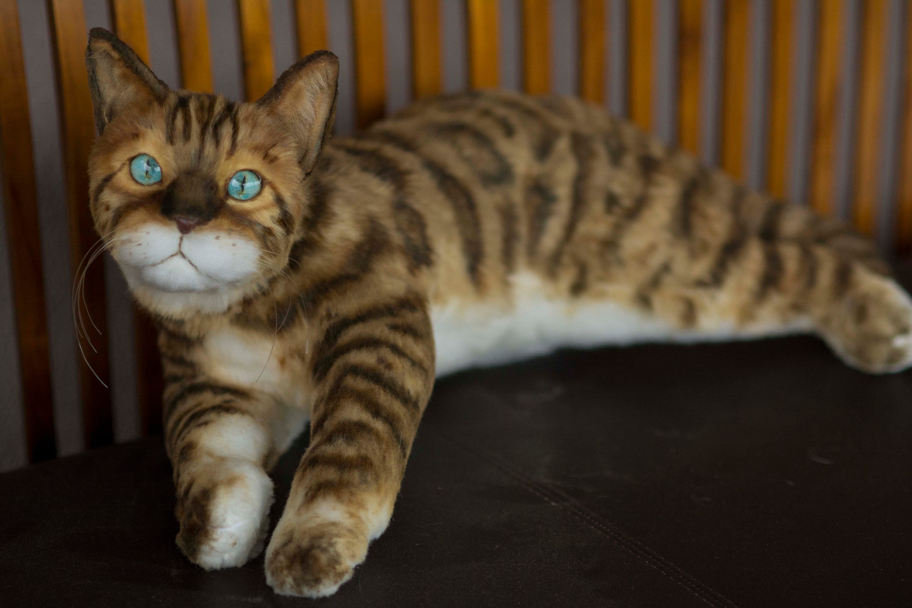 Bengal cat stuffed animal outlet