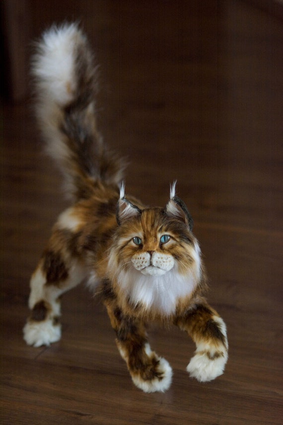 ¡Hecho a la medida! Gato Maine Coon tricolor 50 cm+cola, réplica realista  de gato Maine Coon peluche, peluche de gato personalizado Bosque de Noruega