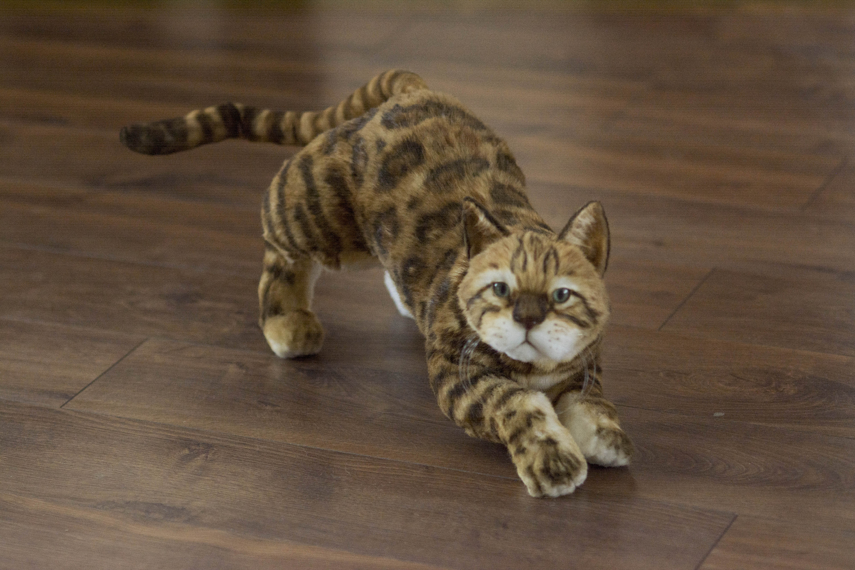 Bengal cat stuffed animal 2025