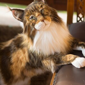 Realistic Maine Coon Cat Plush Replica, Lifelike Stuff Cat Portrait ...