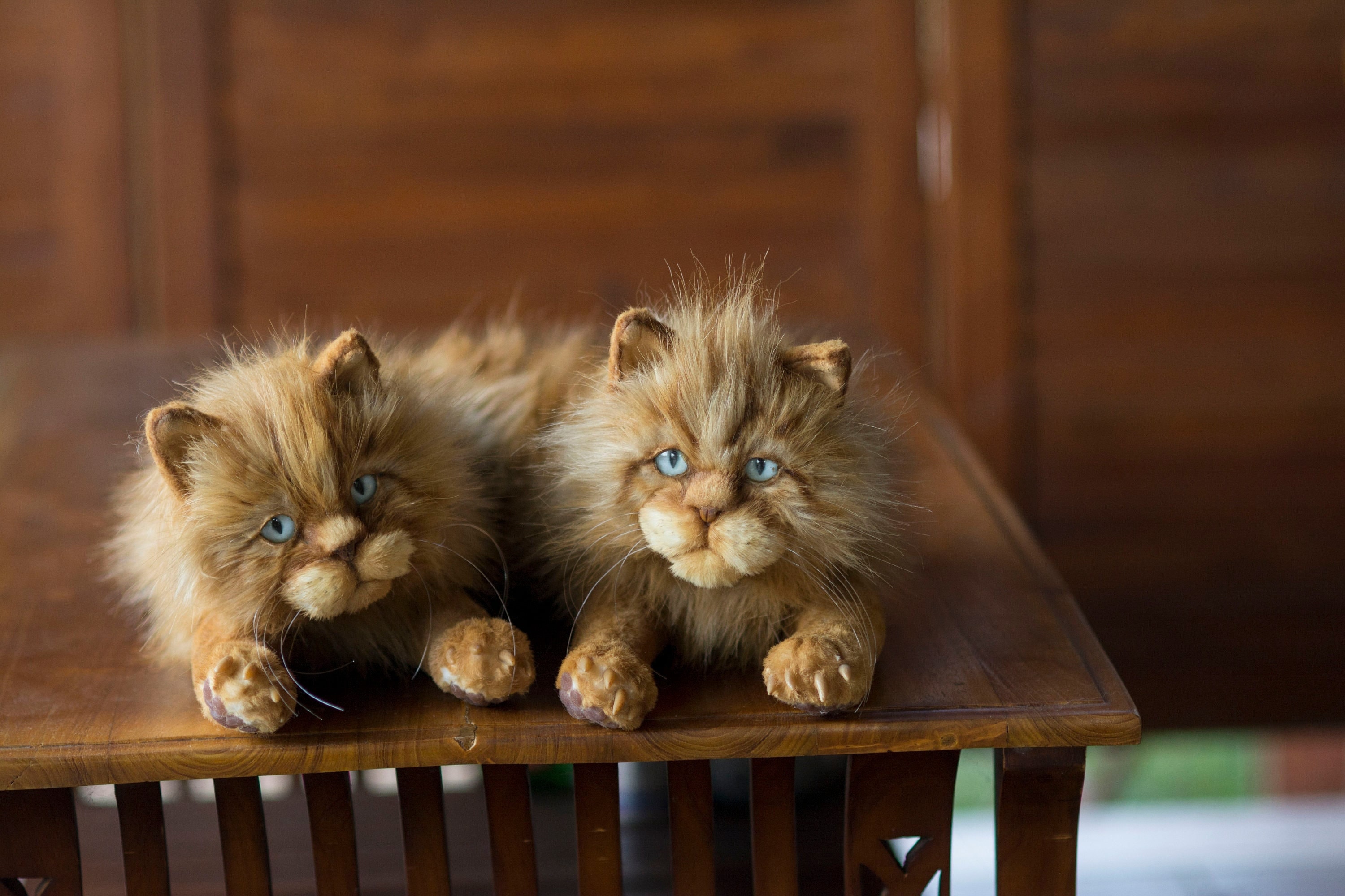 Faux Fur Realistic Cat Scarf Carnival Prop, Cat Themed Photo Prop