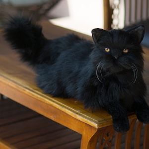 Realistic Halloween black Persian stuffed cat plush, lifelike black Persian, real cat replica plush, black cat custom portrait plush