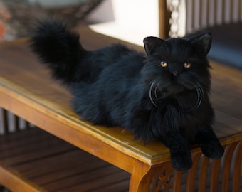 Realistic Halloween black Persian stuffed cat plush, lifelike black Persian, real cat replica plush, black cat custom portrait plush